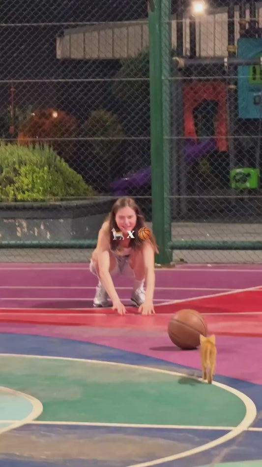 Adorable Kitten Joins in on the Basketball Court