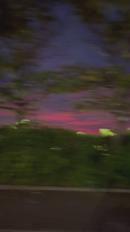 Beautiful Video of Train During Sunset