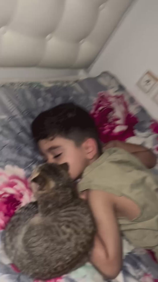Kitten Only Wants to Sleep Next to her Favourite Person