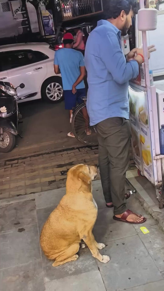 Man Stops to Buy Food for a Hungry Stray Dog
