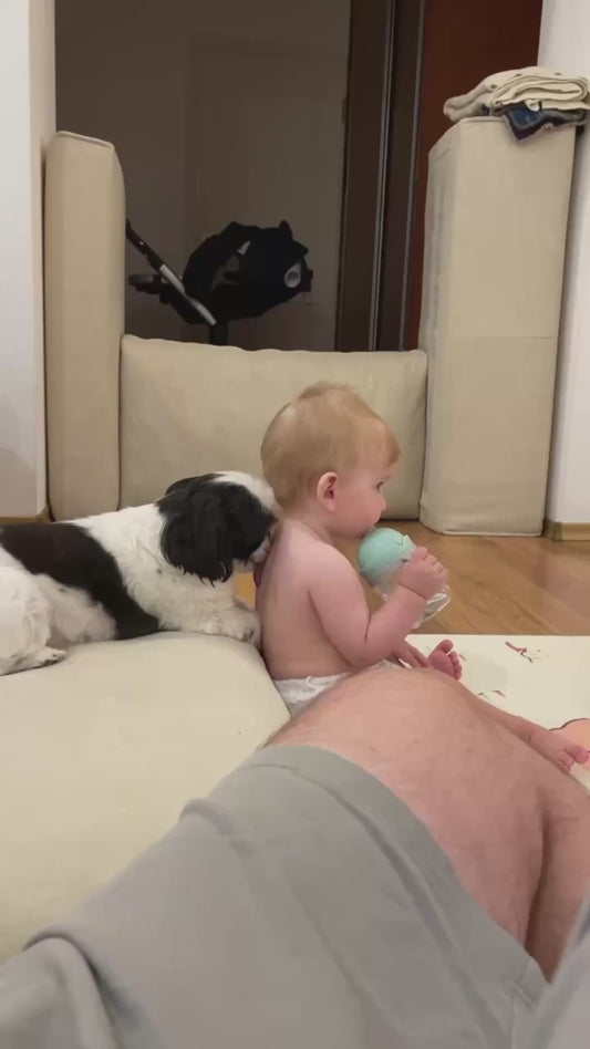 Dog Gives its Owner's Baby a Clean