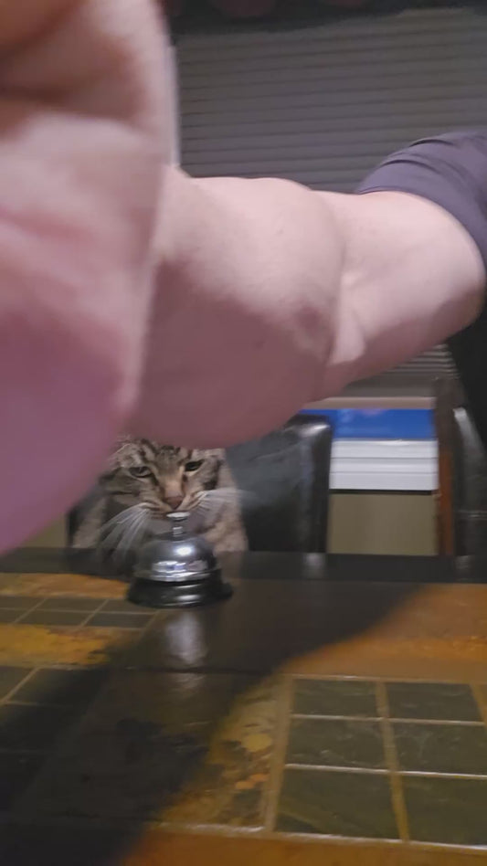 Cat Learns to Ring Bell for More Tuna
