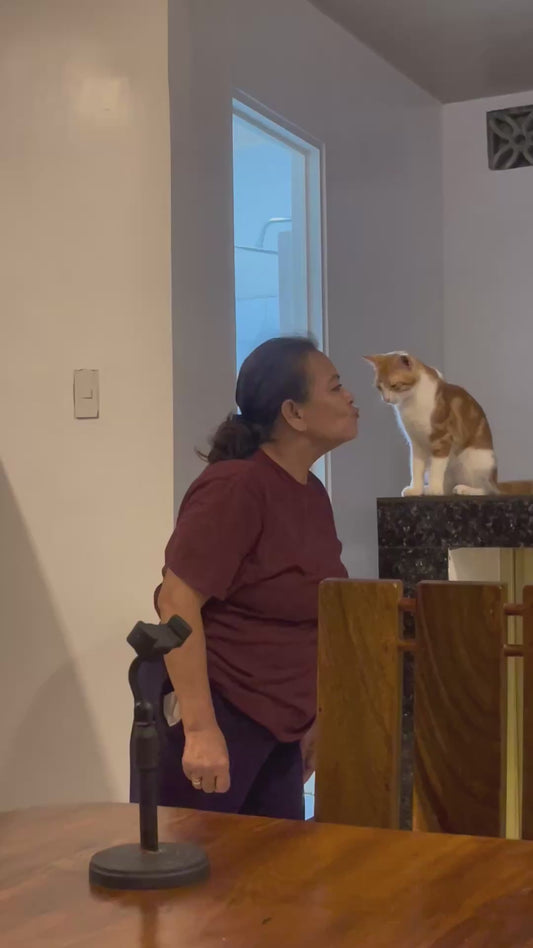 Mom Who Never Wanted a Cat Now Can't Get Enough Kisses