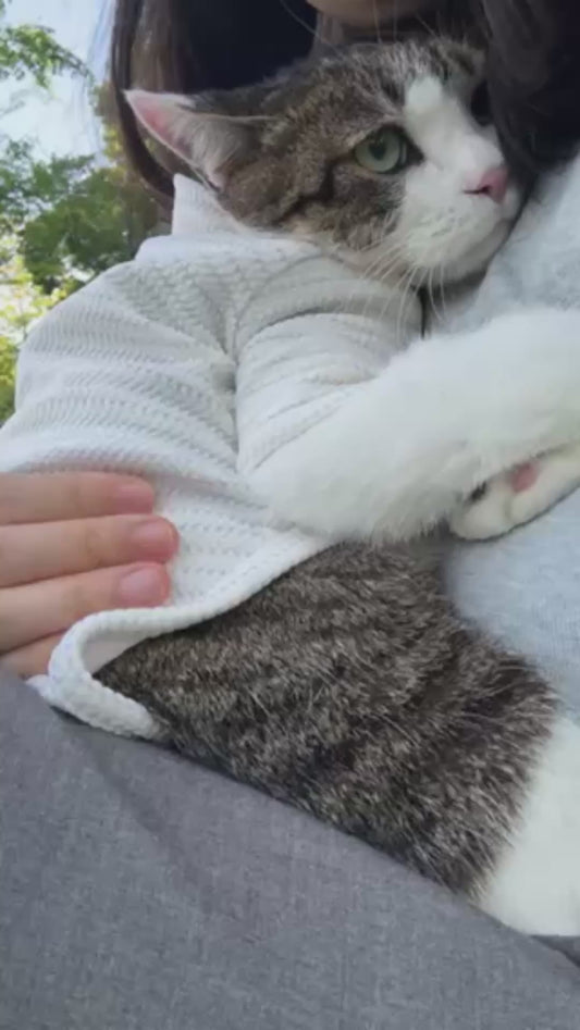 Introverted Cat Gets Nervous After Going Outside