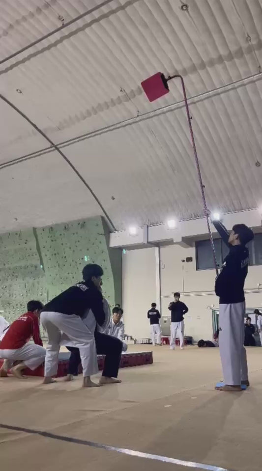 Incredible Taekwondo Kick