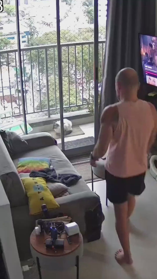 Cat Joins his Owner Every Time he Sits Down