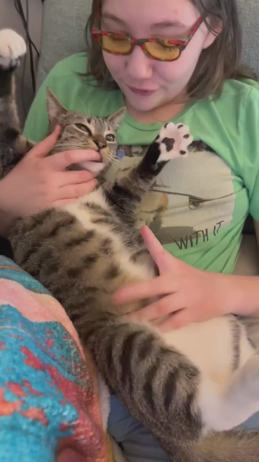 Cat Has a Strange Way of Enjoying Cuddles