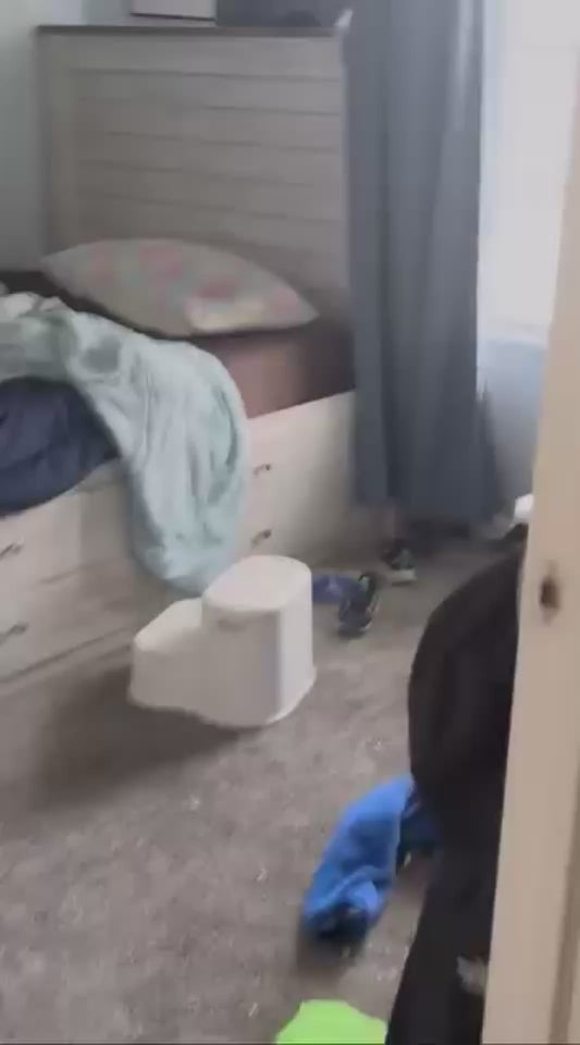 Owner Tells Cat Off for Going in Hamster's Cage