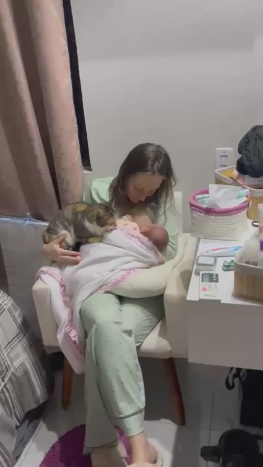 Cat Tenderly Watches Over Newborn During Breastfeeding