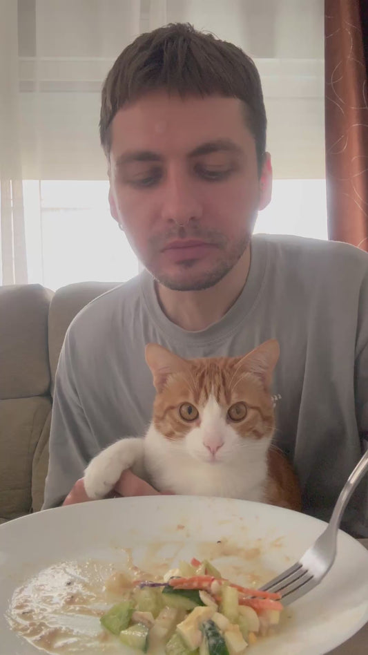 Guy Accidentally Drops Food on Cat's Head