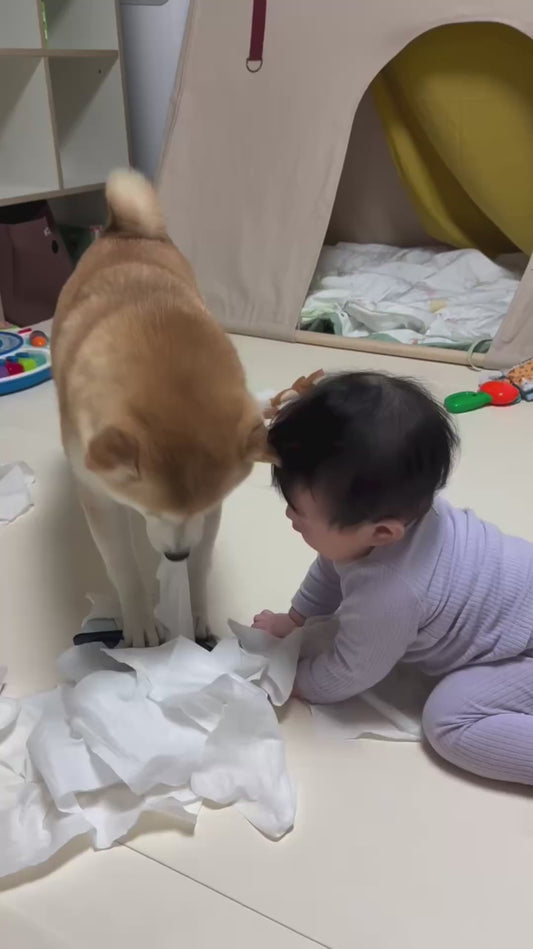 Dog and Baby Get Up to No Good