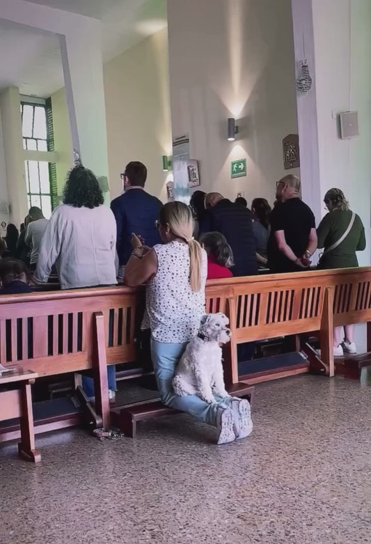 Dog Humorously Joins in During Church Prayer