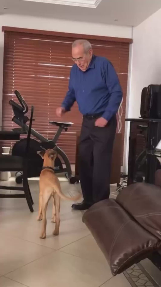 Grandpa and His Loyal Dog are Pure Friendship Goals