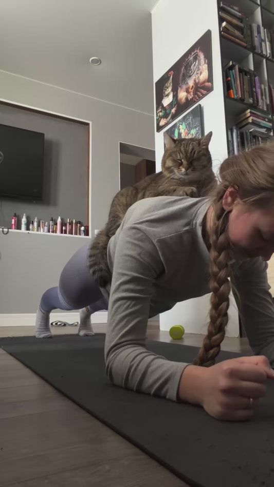 Cat Sits on Owner's Back as She Planks