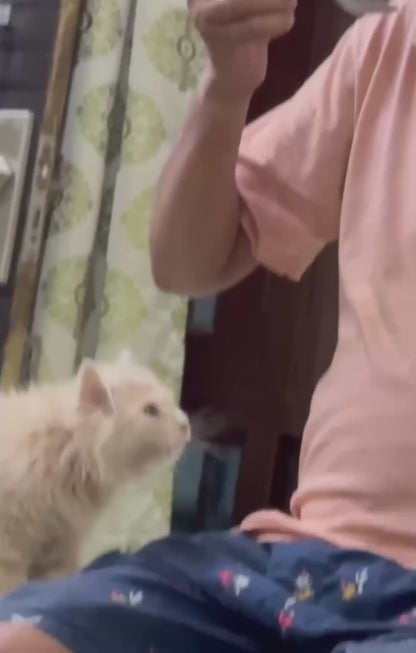 Dad Blows on Hot Soup Before Sharing with His Cat