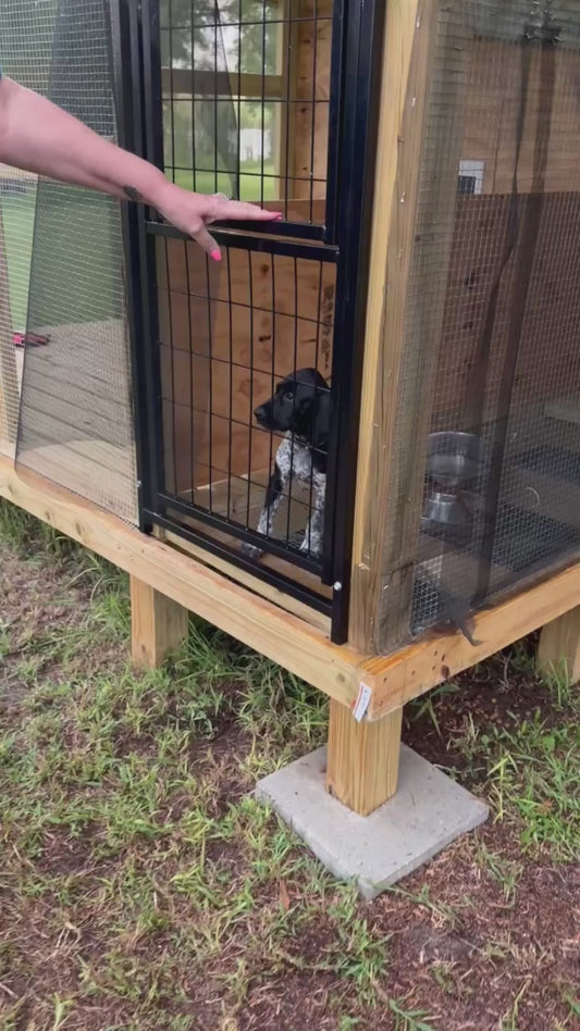 Dog Hilariously Jumps Down From Kennel