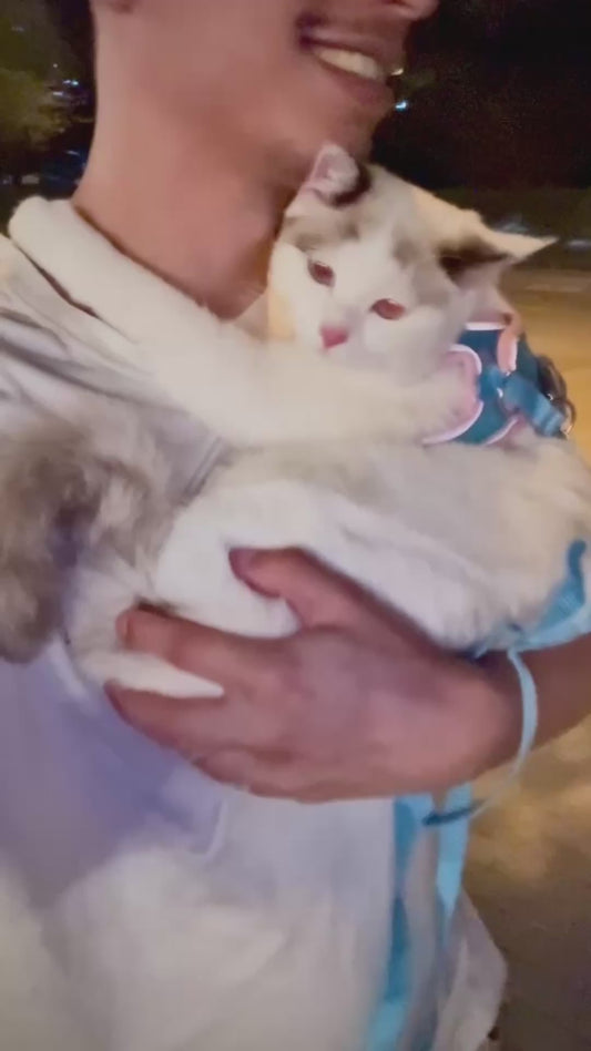 Indoor Cat's First Time Being Outside