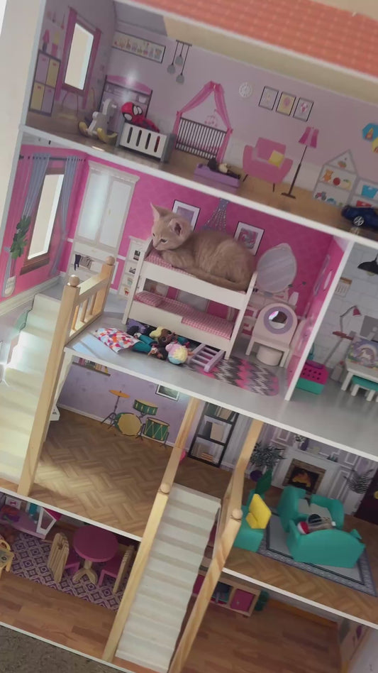 Kitten Moves Into the New Dollhouse Like He Owns the Place