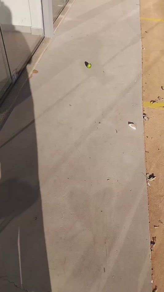 Dog Mortal Combat Cosplay