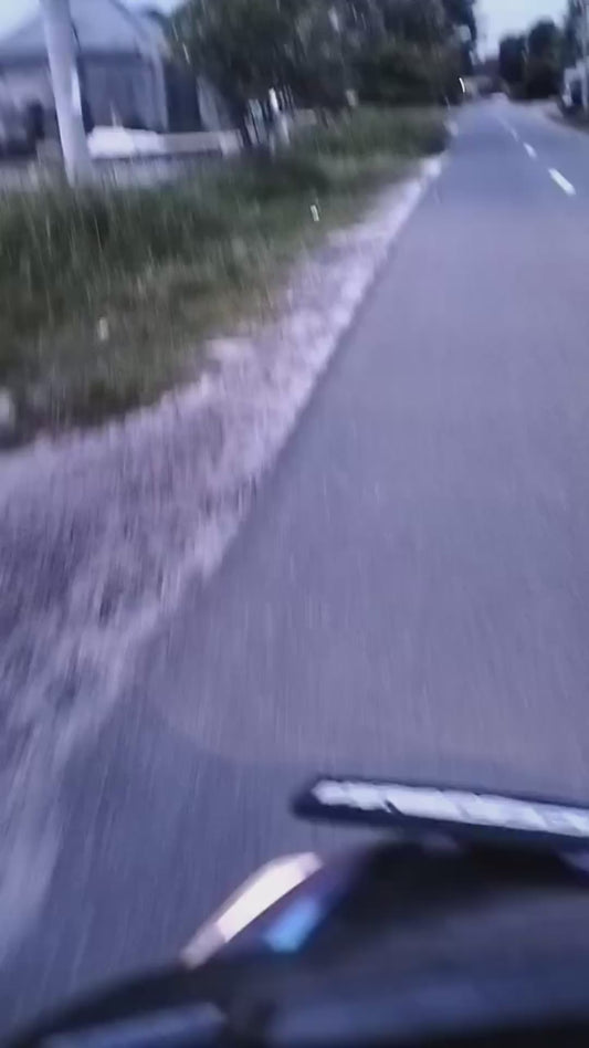 Biker Gives a Lift to a Dog