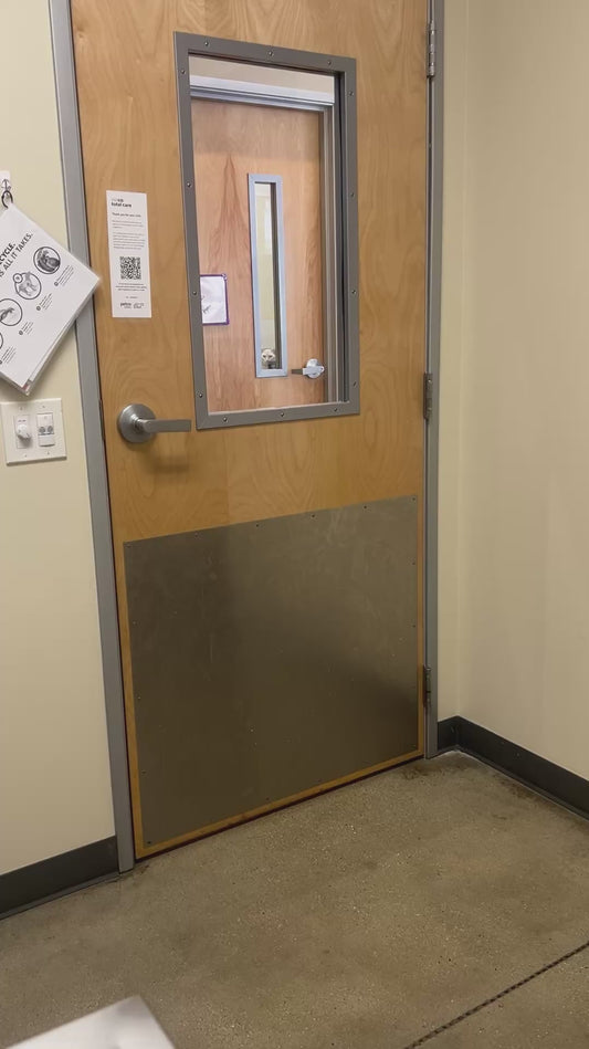 Woman Gets Stared Down by a Cat at the Vet