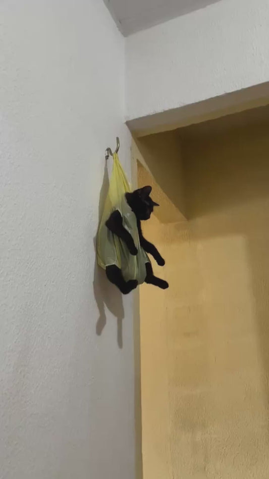 Cat Hilariously Suspended in “Air Jail”