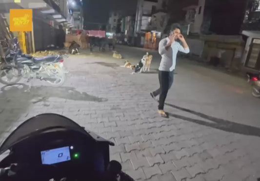 Biker Befriends a Stray Dog