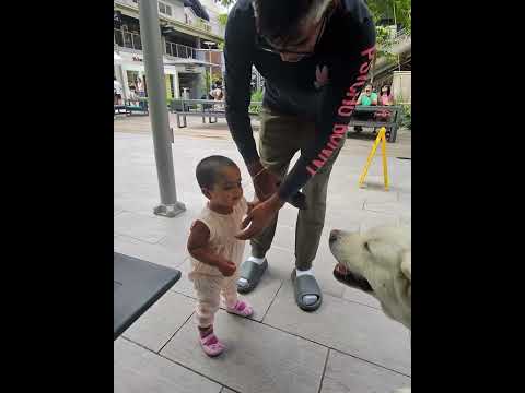 Little Girl Nervously Pets Dog