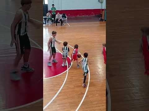 Young Basketball Player Admits to Traveling