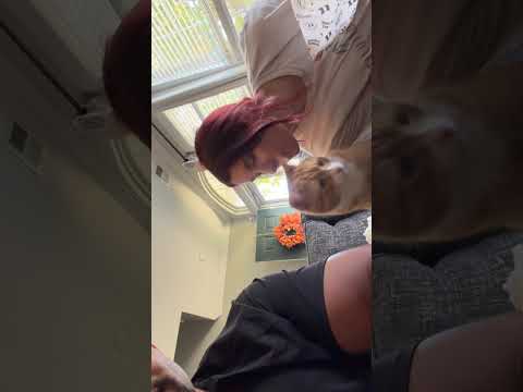 Cat Only Allows One of His Owners to Give Him Kisses