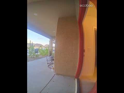 Dog Opens Owners' Front Door and Enters the House
